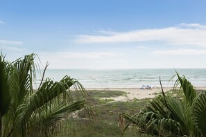 Une plage bordée de palmiers, sous un ciel dégagé.