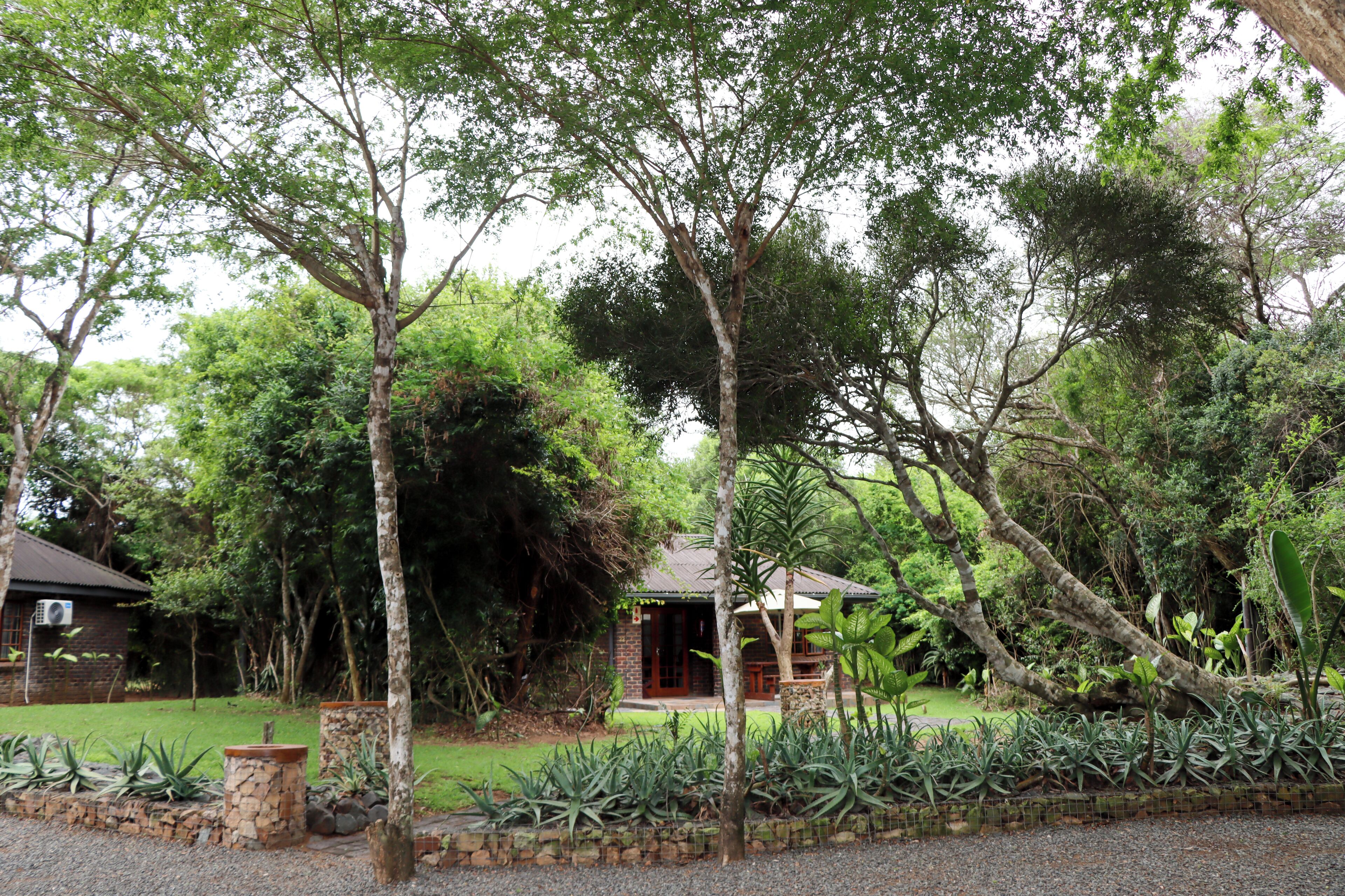 A rustic house surrounded by lush greenery, with a stone pathway leading to the entrance.