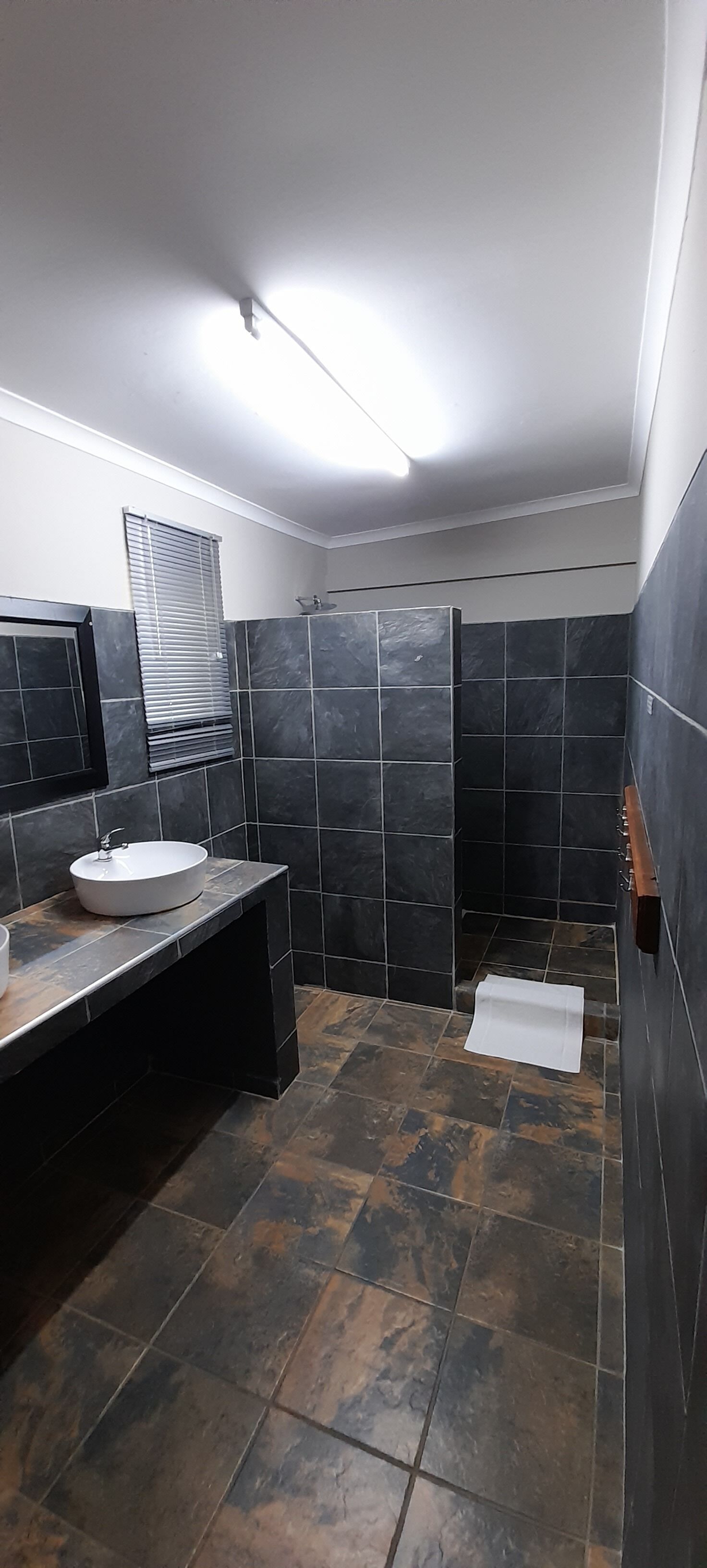 双床房 | 浴室 | 淋浴设施、大花洒淋浴喷头、吹风机、毛巾