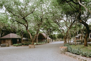 Jardines del alojamiento