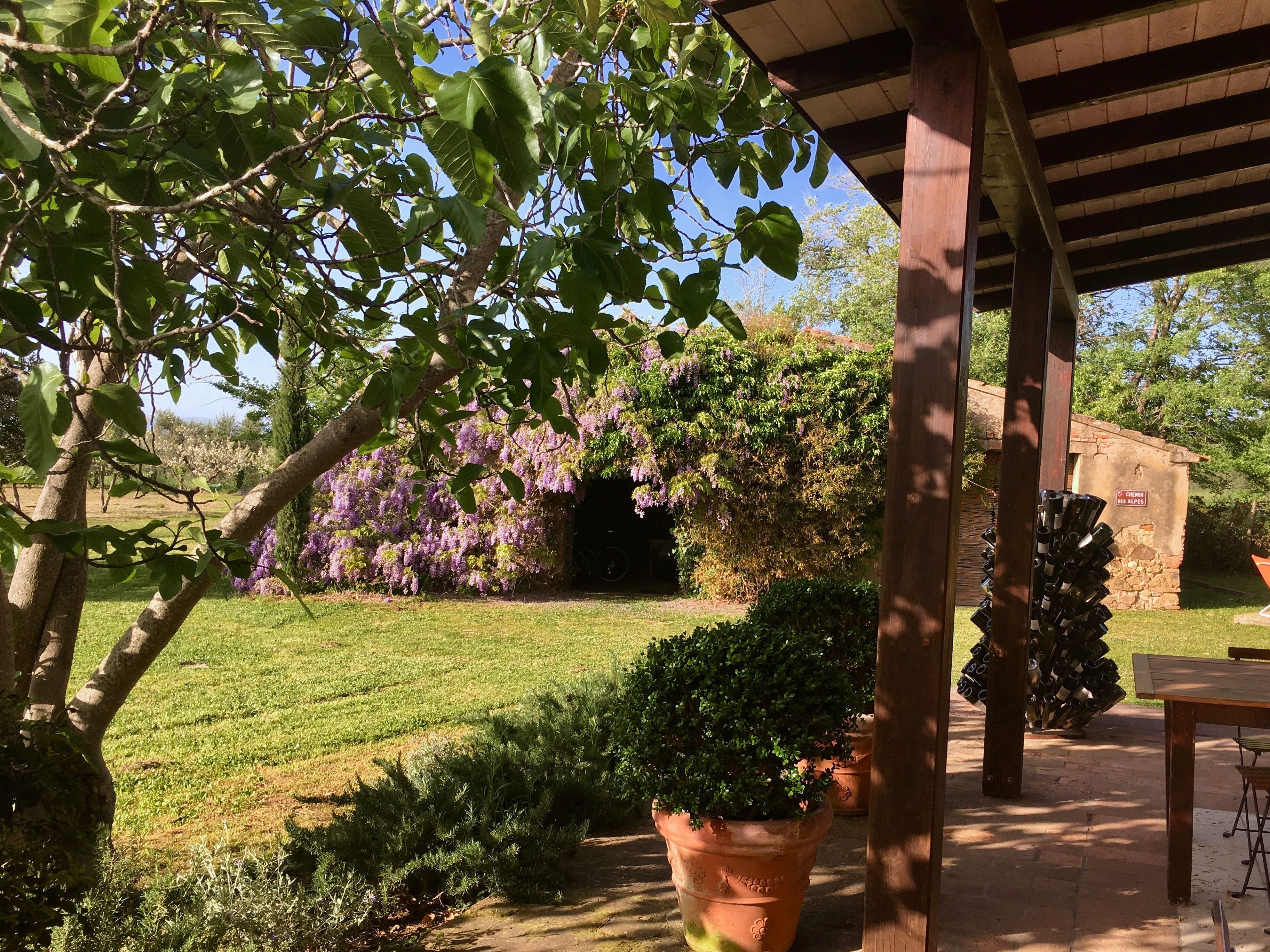 Apartment, 2 Queen-Betten | Unterkunftsgelände