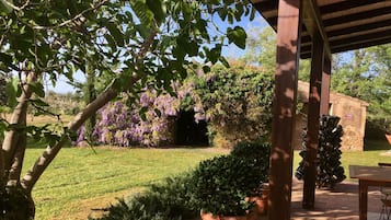 Apartment, 2 Queen-Betten | Unterkunftsgelände