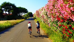 Two cyclists on a paved road with a flower-covered wall on one side. - La Casa Toscana - Apt Castello 7 km by the sea (Castagneto Carducci)