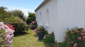 A white building with a window and a door, surrounded by lush greenery and pink flowers. - Pretty villa in Trévignon, 2 steps from the beach and port (Trégunc)