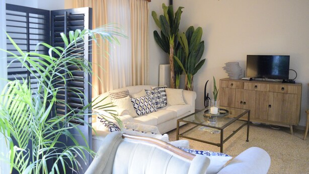 Un salon avec un canapé, une table basse, un téléviseur et des plantes.