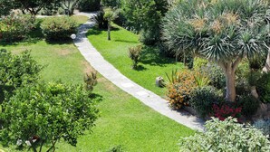 A garden with a paved walkway, various plants, and a tree. - Historic Charm with Modern Comfort near the Sea (Lacco Ameno)