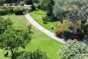 Property grounds - Historic Charm with Modern Comfort near the Sea (Lacco Ameno)