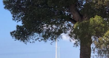 Le Tassergal : Port Gimaud / St Tropez, 2 Chambres vue sur L'eau