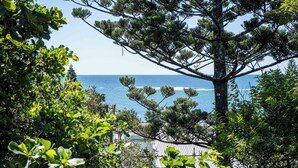 A coastal view with a large tree and dense foliage in the foreground, leading to a clear blue sea. - Live like a local In the heart of Moffat Beach (Moffat Beach)