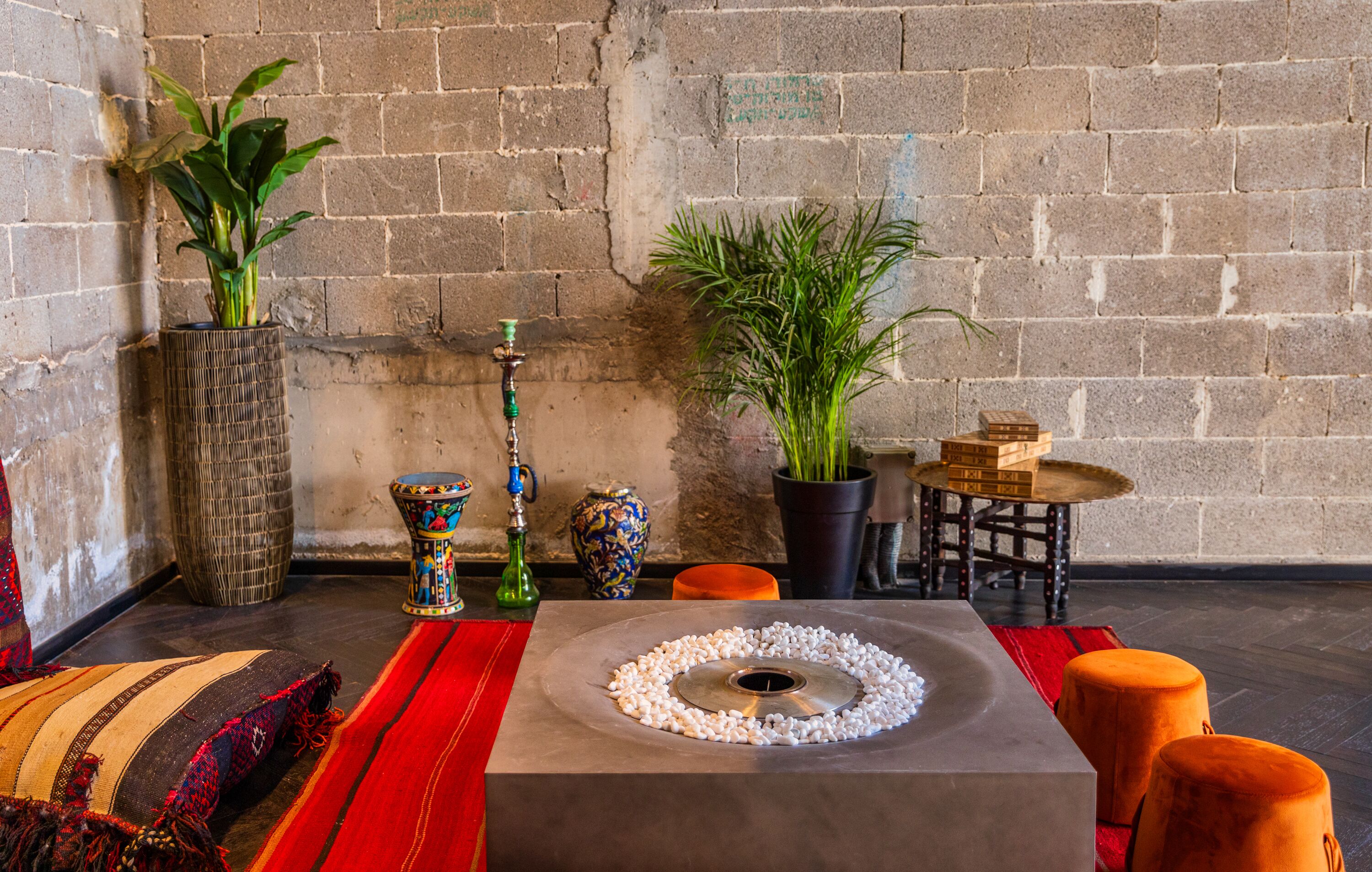 Foto - Brown Machne Yehuda