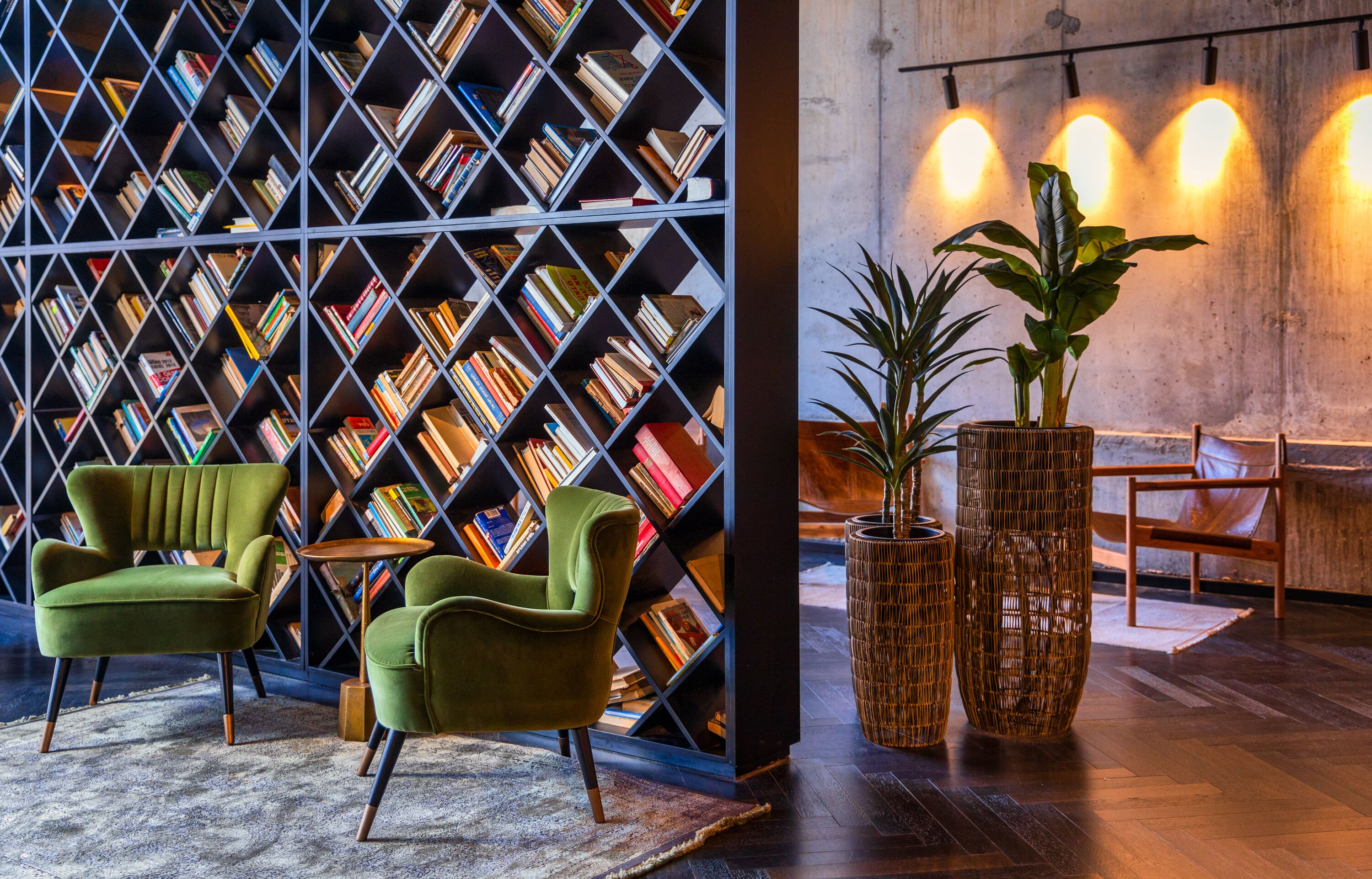 Foto - Brown Machne Yehuda