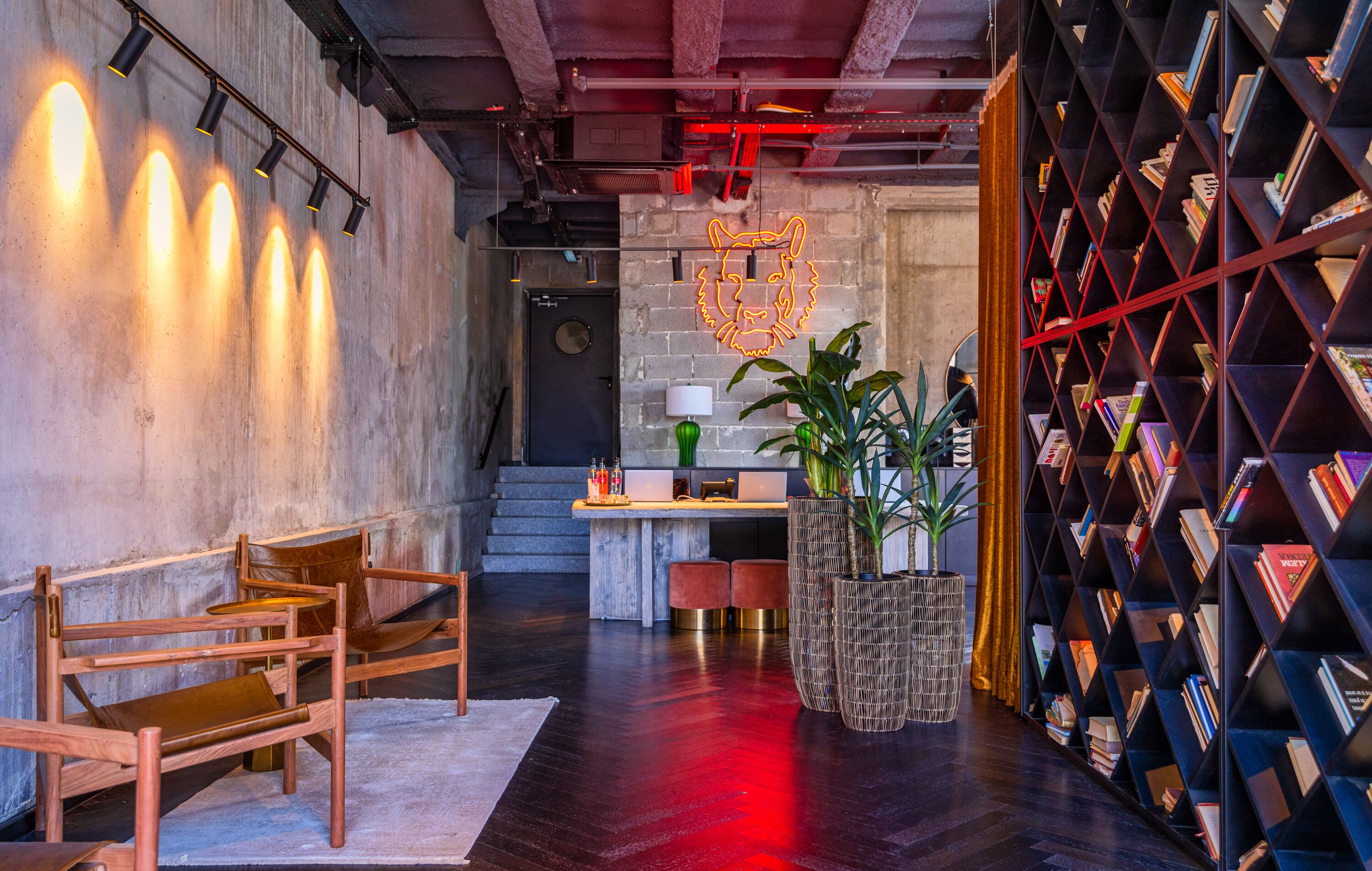 Foto - Brown Machne Yehuda