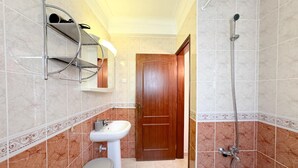 Une salle de bain équipée d’un lavabo, d’un miroir, d’une douche et d’une porte donnant sur une autre pièce.