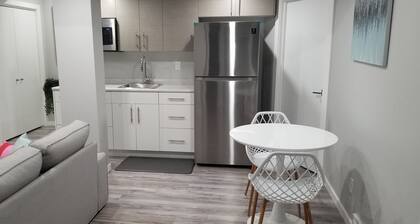 Luxurious 2 bedroom basement suit.