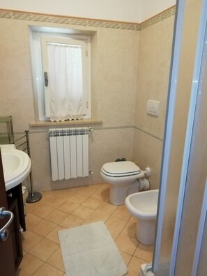 Shower, hair dryer, bidet, towels