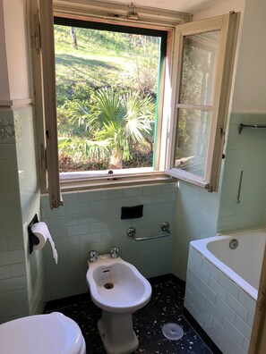 Bathtub, bidet