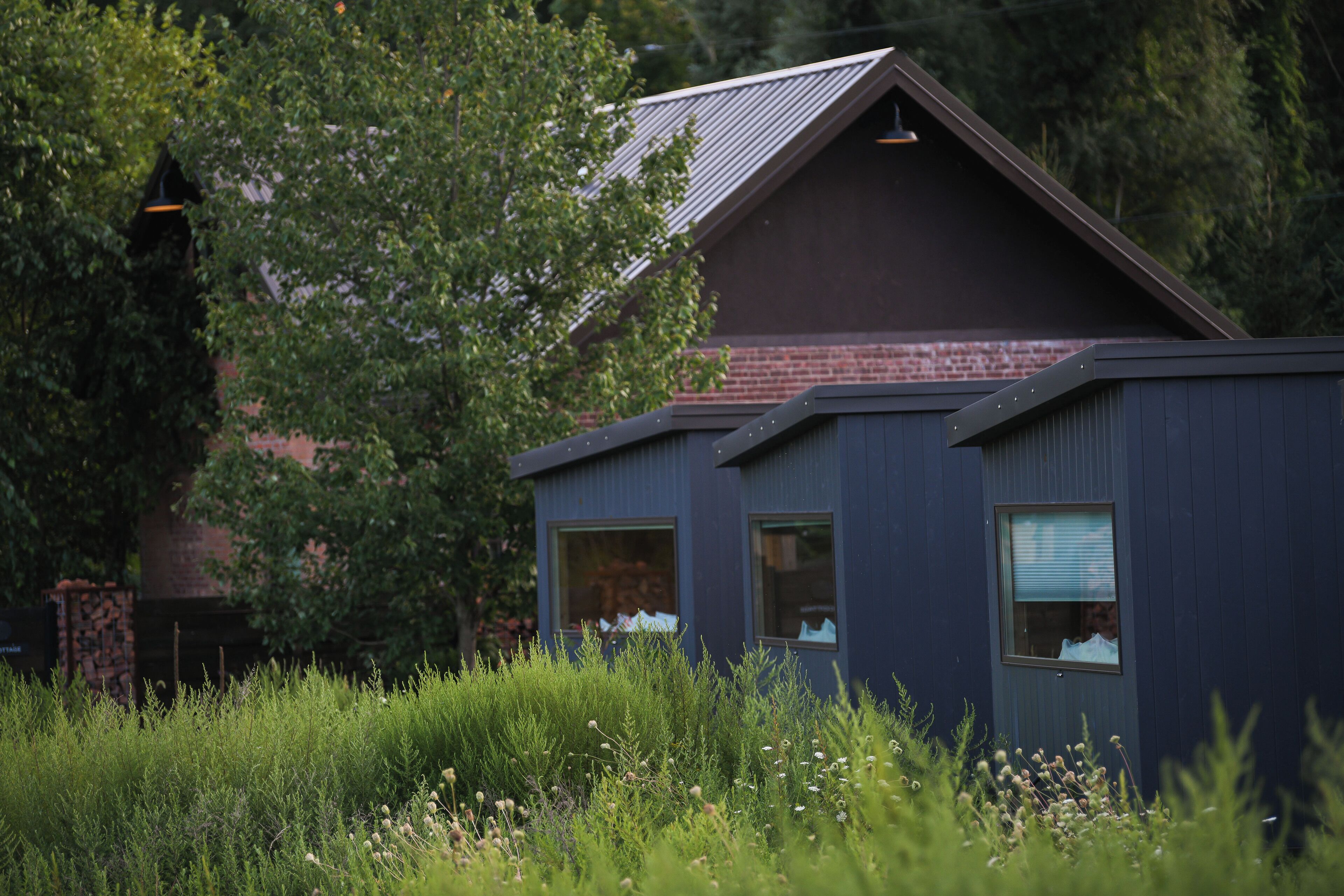 A modern house with a sloped roof and large windows, surrounded by lush greenery.