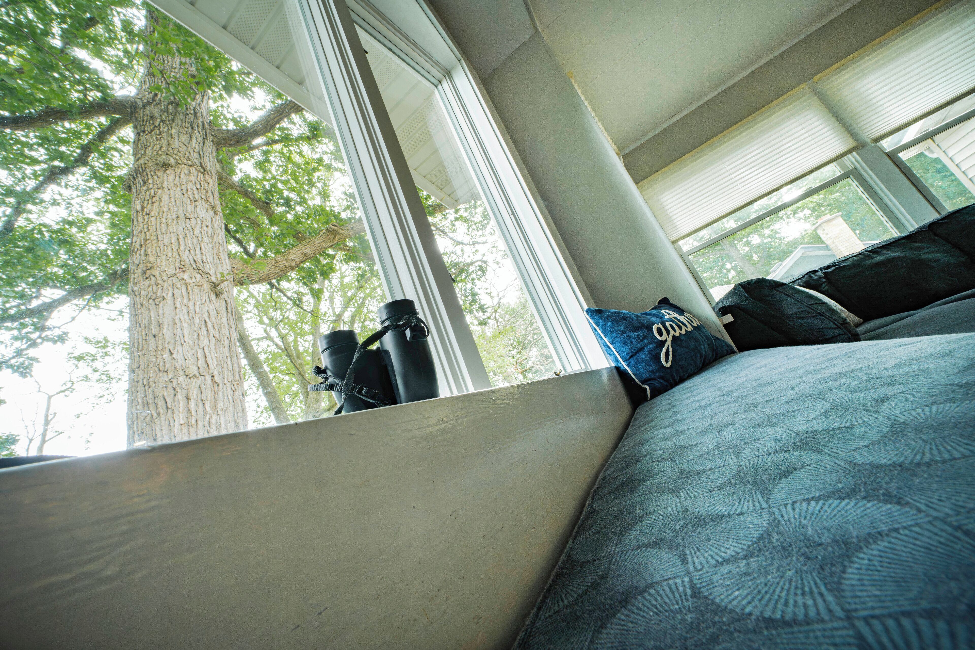 A room with a large window, a view of a tree, and a bed with patterned bedding.