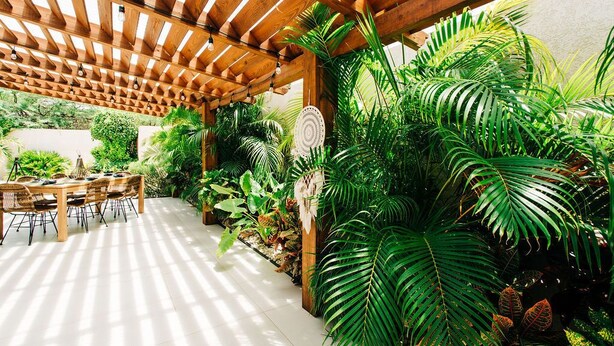 Eine Außenpatio mit einer Holzpergola, einem Esstisch mit Stühlen und üppigen tropischen Pflanzen.