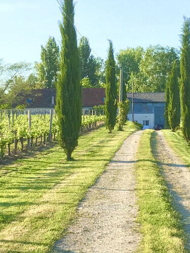 La ferme et son vignoble