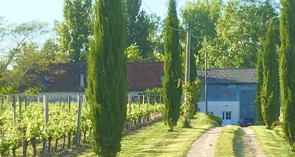 La ferme et son vignoble