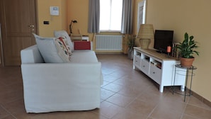 A living room with a white sofa, a television, a potted plant, and a radiator.