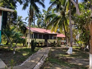 Exterior - Tropical Jungle Paradise (Ladyville)