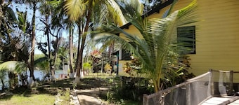 Tropical Jungle Paradise