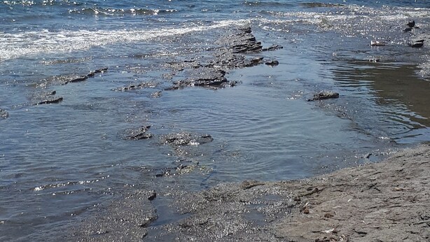 A beach with rocky shore, calm water, and distant mountains. - Studio - quiet seaside location with private parking (La Ciotat)