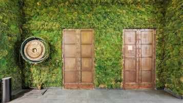 A moss-covered wall with two brown doors and a circular object on the left.