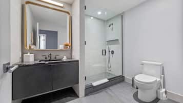 A modern bathroom with a glass-enclosed shower, a vanity with a mirror, and a toilet.
