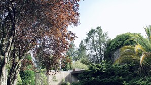 A garden with a variety of trees, including a large tree with autumn leaves, a coniferous tree, and a palm tree. There is a stone wall and a paved area in the foreground.