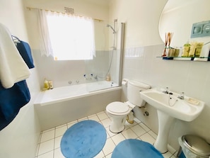 Hair dryer, towels, soap, toilet paper