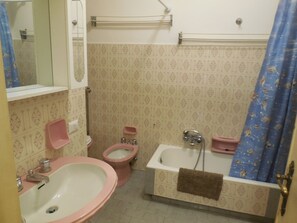 Bañera con ducha, secador de pelo, bidet