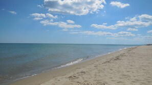 Una playa cerca