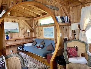 TV, fireplace, books