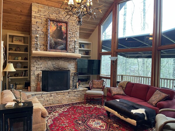 TV connectée, cheminée, livres, chaîne hi-fi