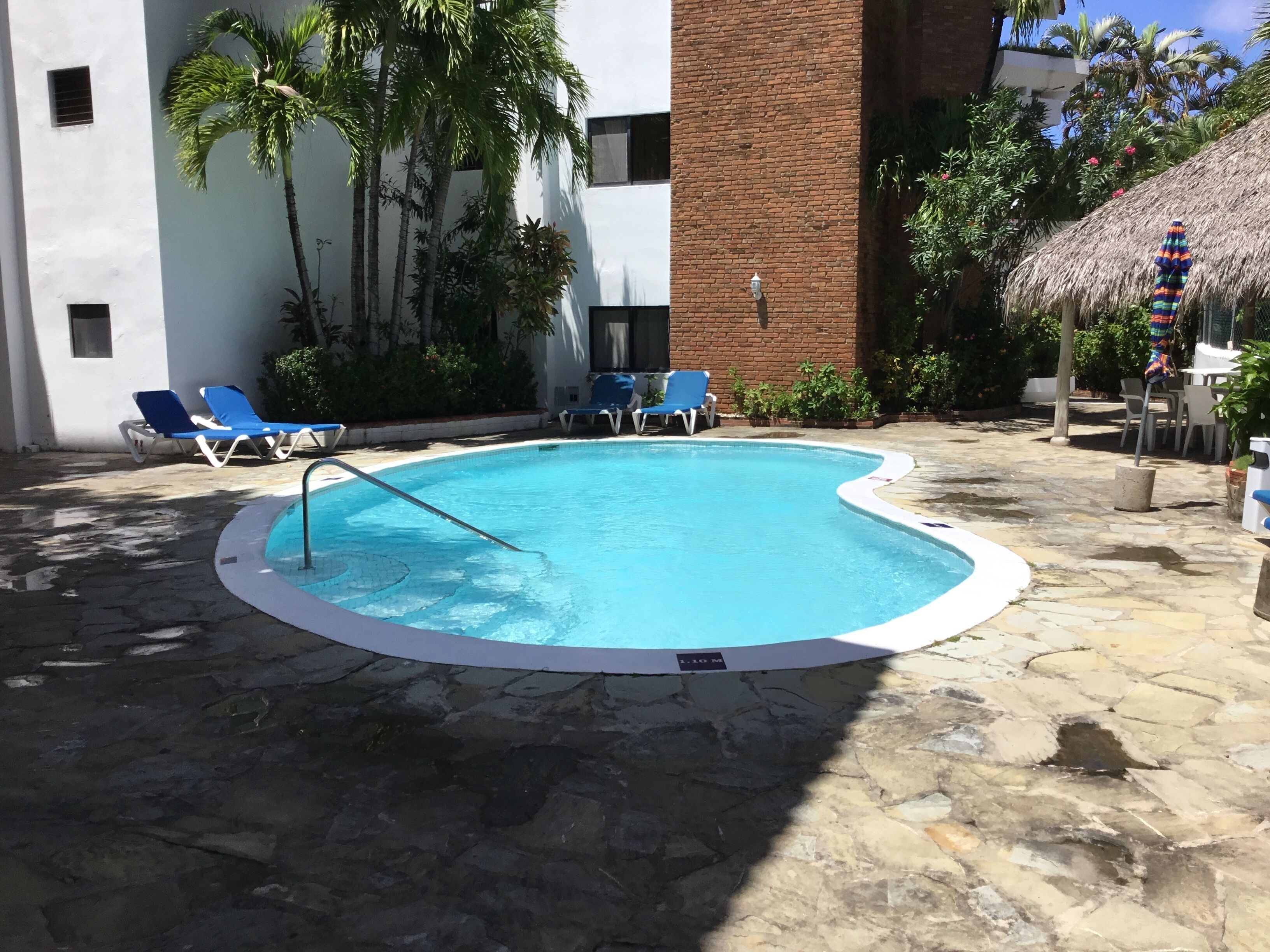 Una piscina con un deck de piedra, rodeada de sillas reclinables azules y palmeras.