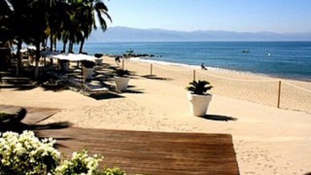 A beachside walkway with palm trees, potted plants, and a clear view of the ocean. - Icon Vallarta Apartments (Puerto Vallarta)