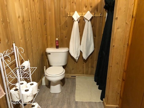 Shower, hair dryer, towels, soap - Private Lakefront Log Cabin (Portage Lake)