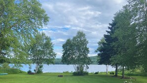 Une zone herbeuse avec un lac, des arbres et des fleurs jaunes.