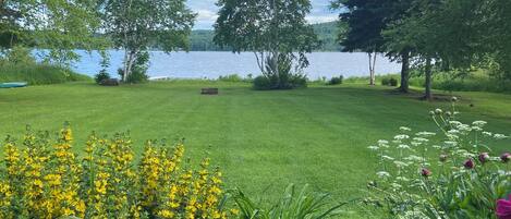A grassy area with a lake, trees, and yellow flowers.