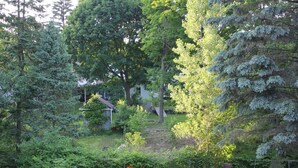 A backyard with a wooden deck, a small shed, and a variety of trees and shrubs.