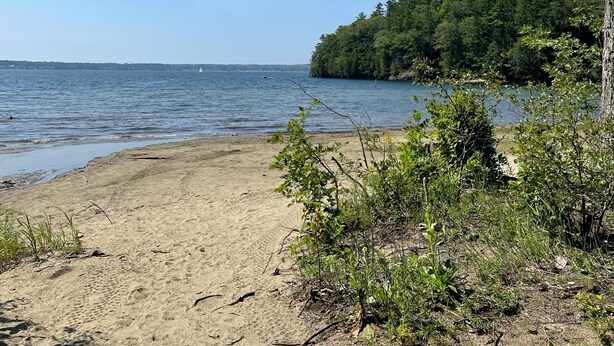 Ein Strand mit sandigem Ufer, ein kleines Boot im Wasser und eine bewaldete Insel im Hintergrund.