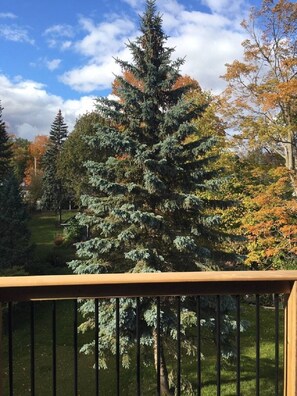 Terrain de l’hébergement 