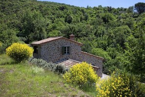 Exterior - Wonderful private villa for 11 guests with A/C, sauna, WIFI, private pool, hot tub and TV (Cortona)