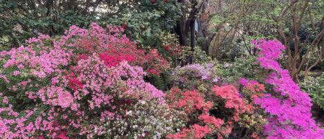 Terrain de lâhĂ©bergement