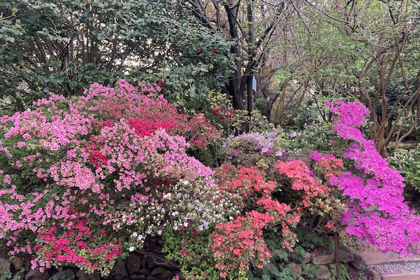 Parco della struttura