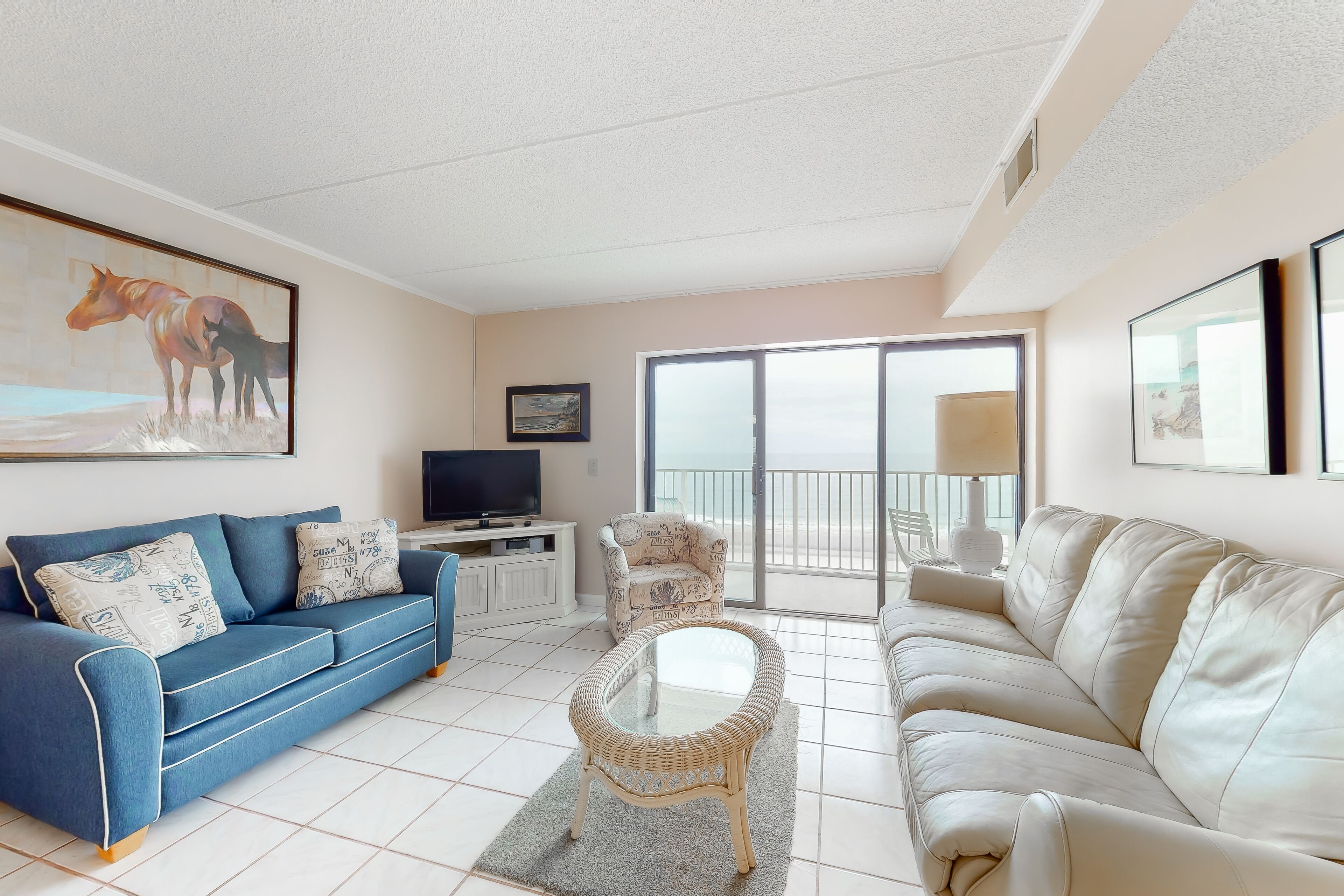 TV, DVD player, books