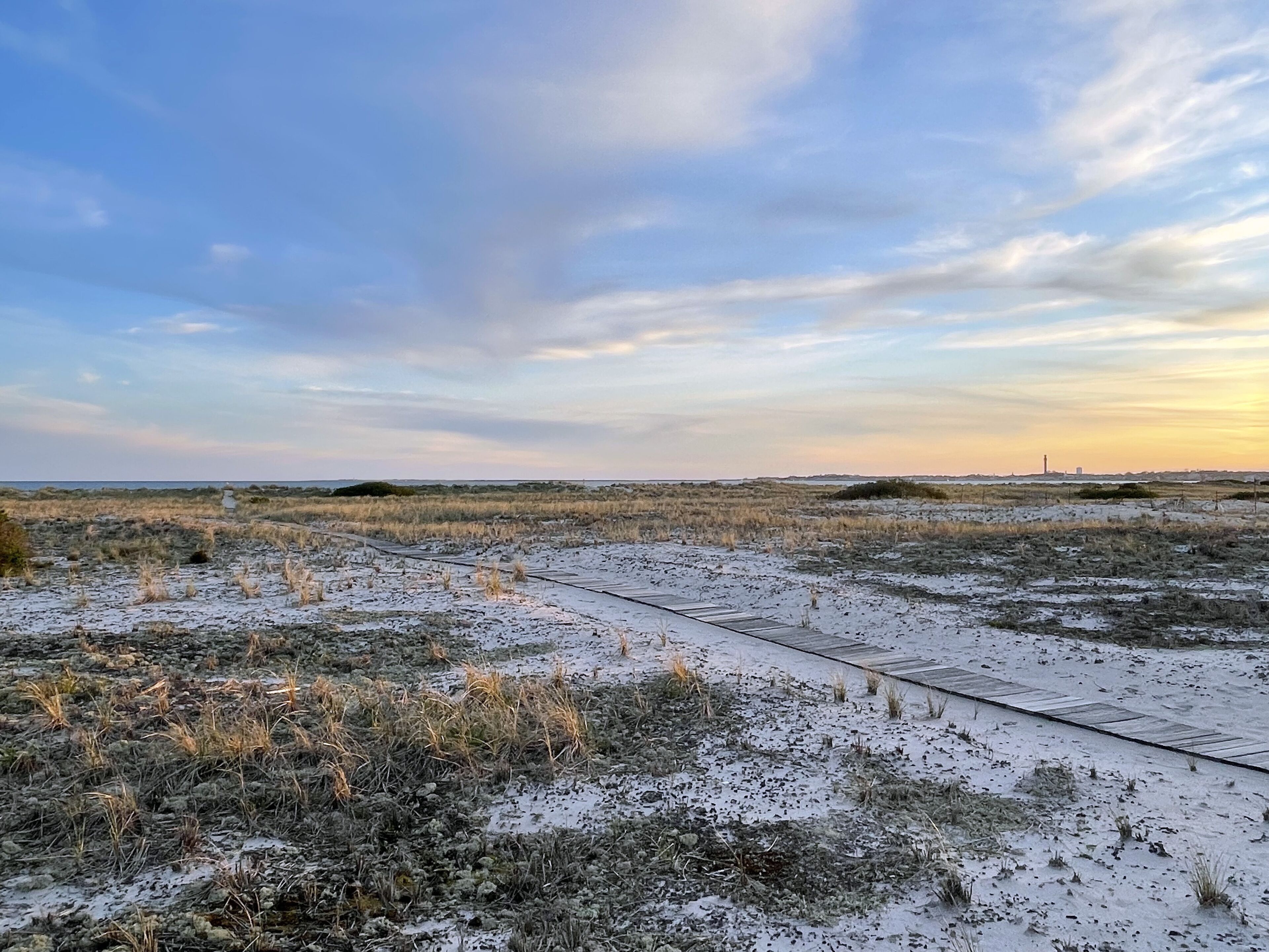 Eine Küstenlandschaft mit gepflastertem Weg, spärlicher Vegetation und Gebäuden in der Ferne.